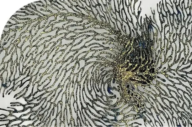 Sage Intracoastal primary suite with Intracoastal views